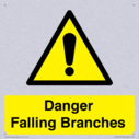 danger-falling-branches~